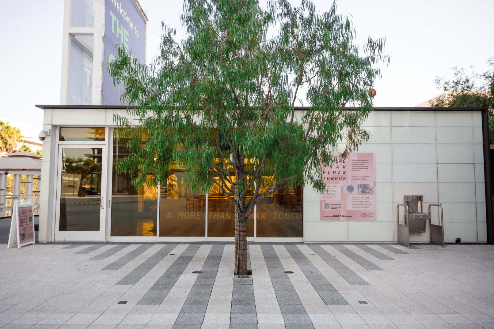 A More Than Human Tongue. Featuring Voice in My Head by Lauren Lee McCarthy and Kyle McDonald, and One Who Looks at the Cup. Exhibition Design by Lauren Lee McCarthy. Music Center LA, 2024. Photo by Will Tee Yang for The Music Center.